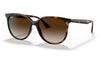 Ray-Ban RB4378 Sunglasses - Havana / Brown Gradient