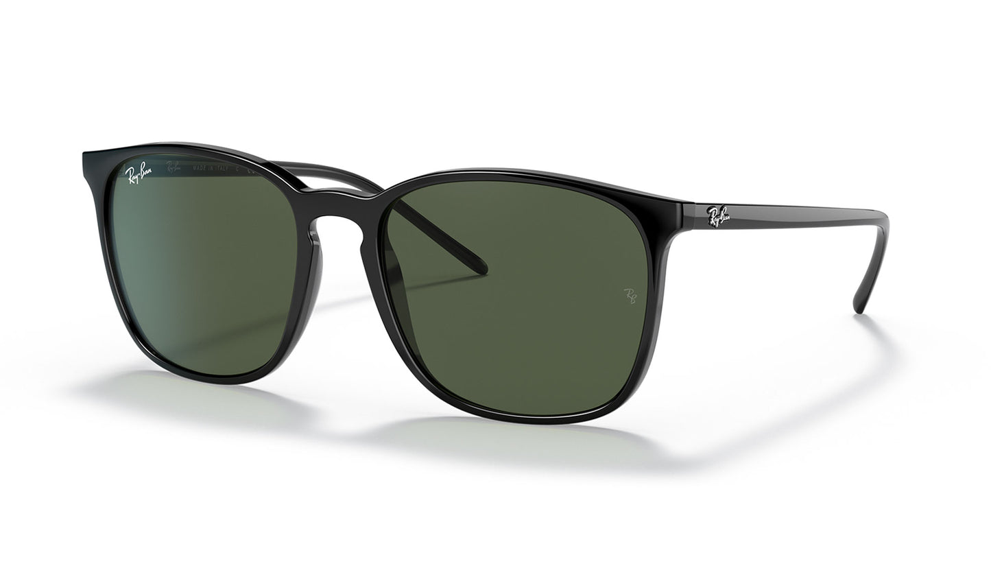 Ray-Ban RB4387 Sunglasses - Black / Green
