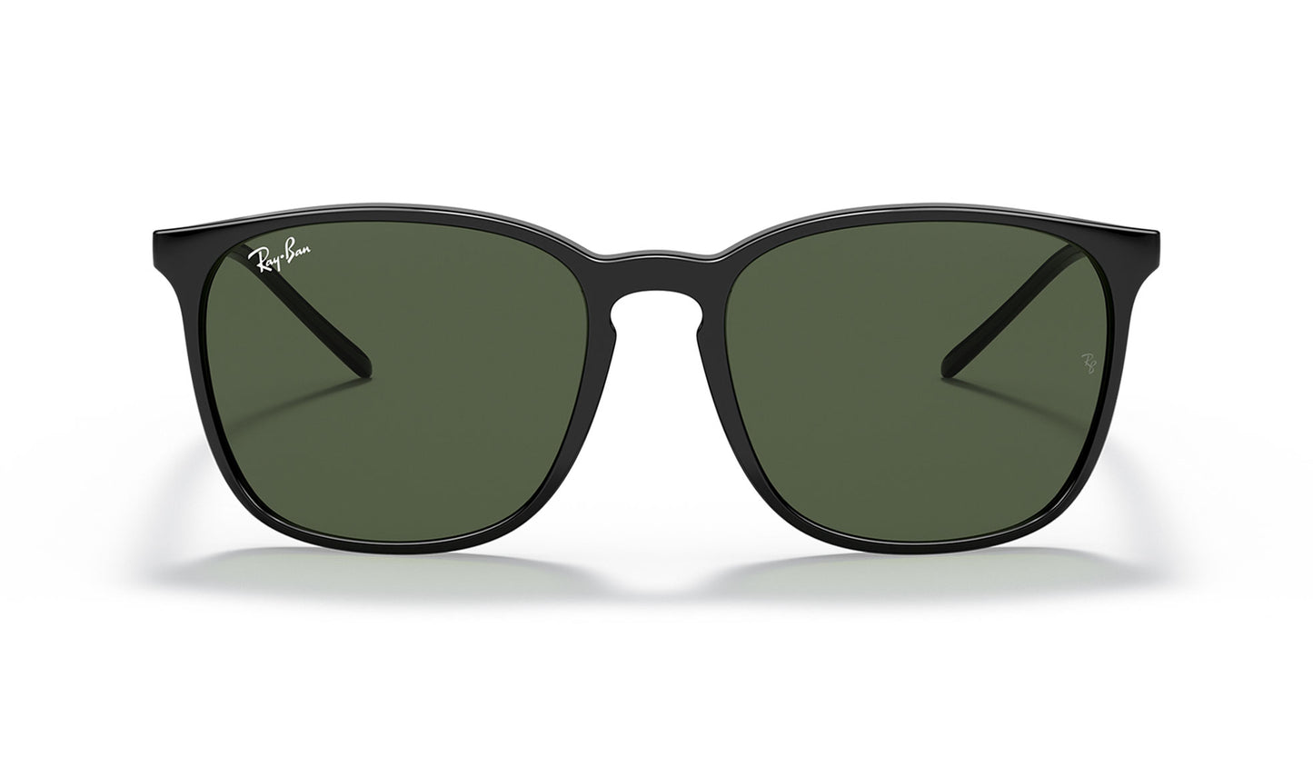 Ray-Ban RB4387 Sunglasses - Black / Green
