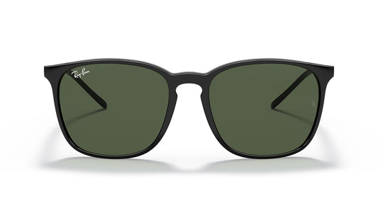 Ray-Ban RB4387 Sunglasses - Black / Green