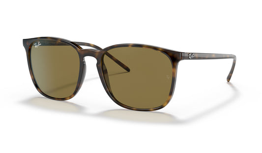 Ray-Ban RB4387 Sunglasses - Havana / Brown