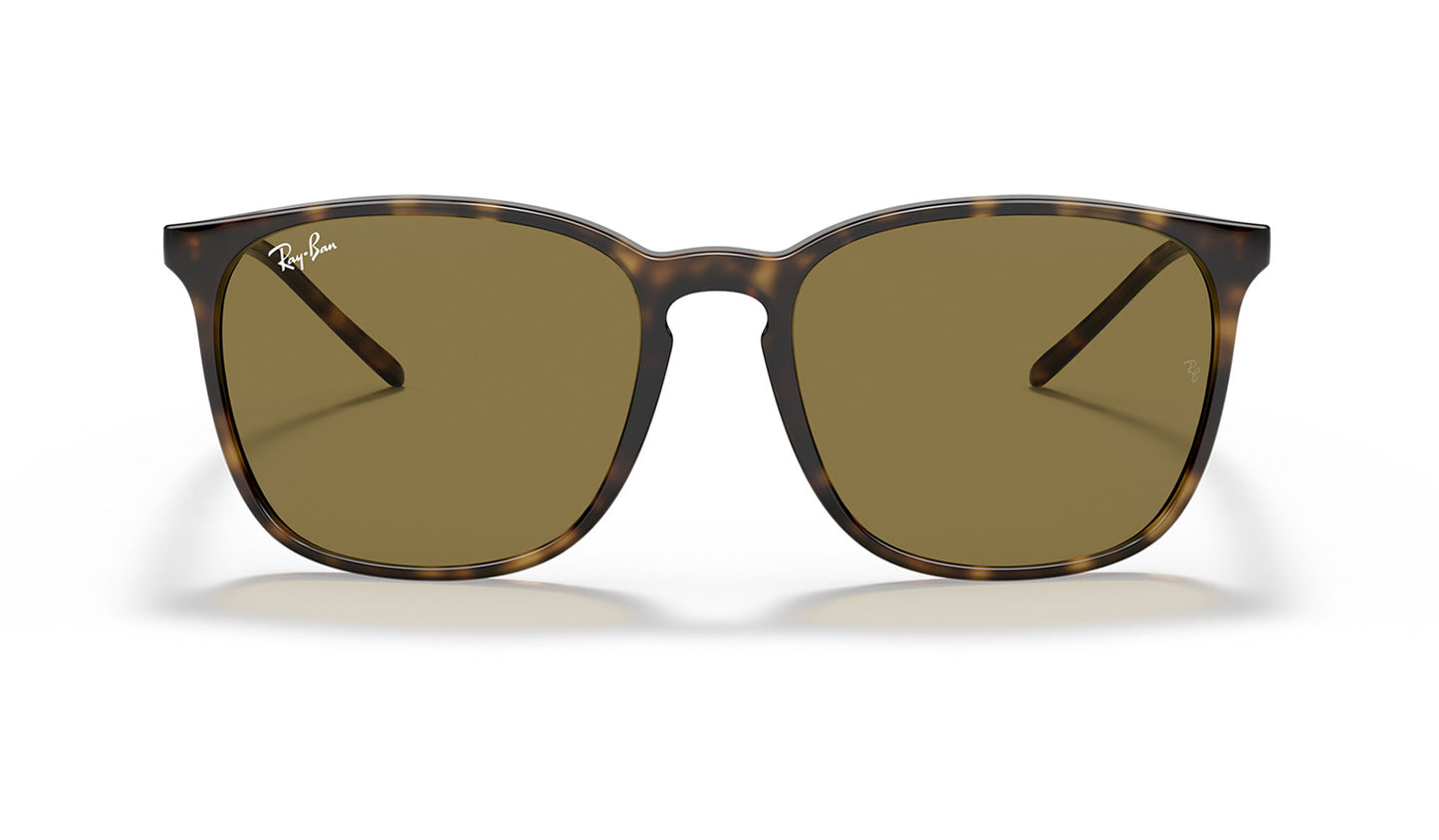 Ray-Ban RB4387 Sunglasses - Havana / Brown