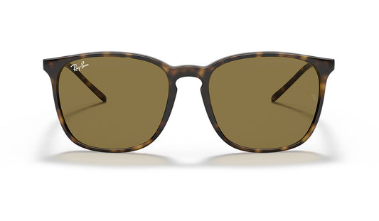 Ray-Ban RB4387 Sunglasses - Havana / Brown