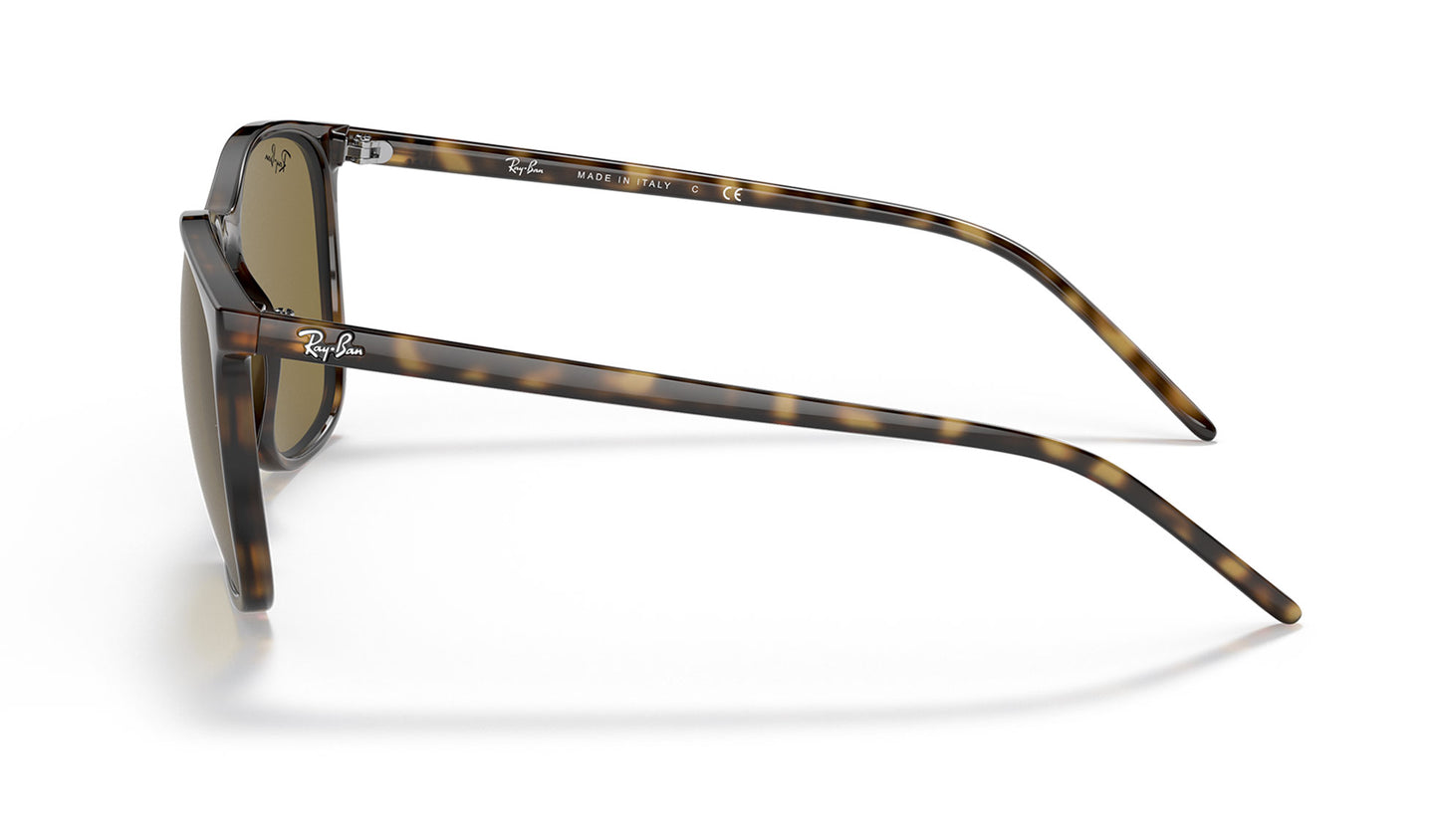 Ray-Ban RB4387 Sunglasses - Havana / Brown
