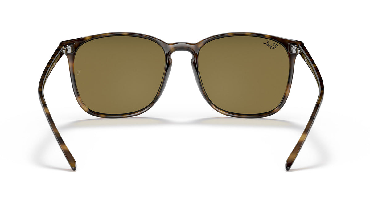 Ray-Ban RB4387 Sunglasses - Havana / Brown