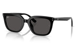 Ray-Ban RB4439D Sunglasses - Black / Dark Grey