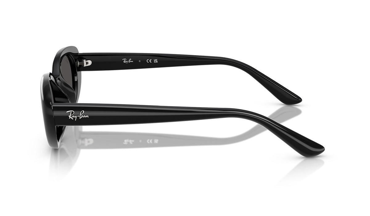 Ray-Ban RB4441D Sunglasses - Black / Dark Grey