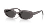 Ray-Ban RB4441D Sunglasses - Transparent Dark Grey / Dark Grey