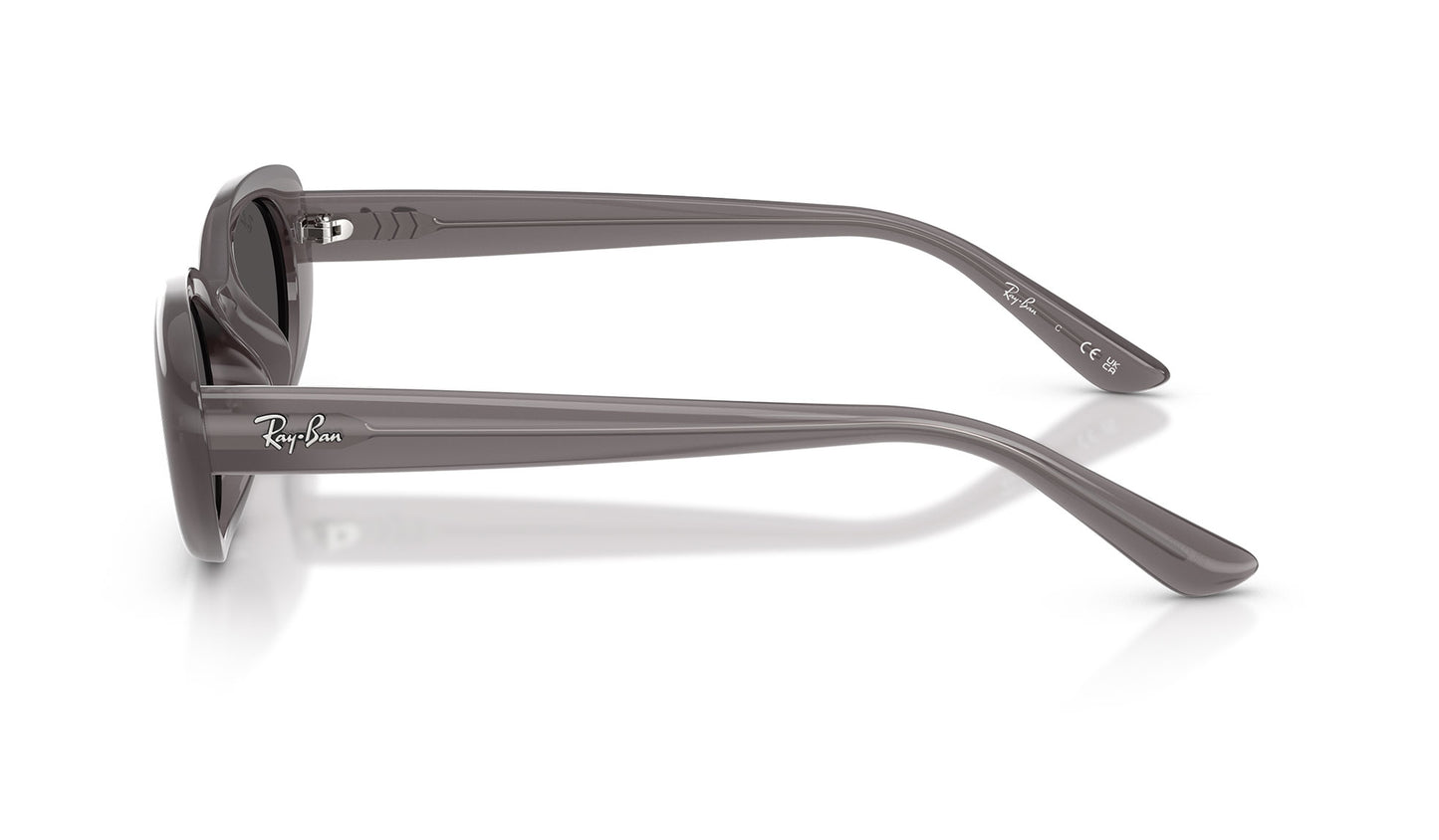 Ray-Ban RB4441D Sunglasses - Transparent Dark Grey / Dark Grey