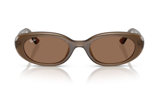 Ray-Ban RB4441D Sunglasses - Opal Brown / Dark Brown