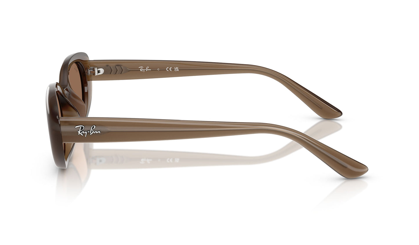 Ray-Ban RB4441D Sunglasses - Opal Brown / Dark Brown