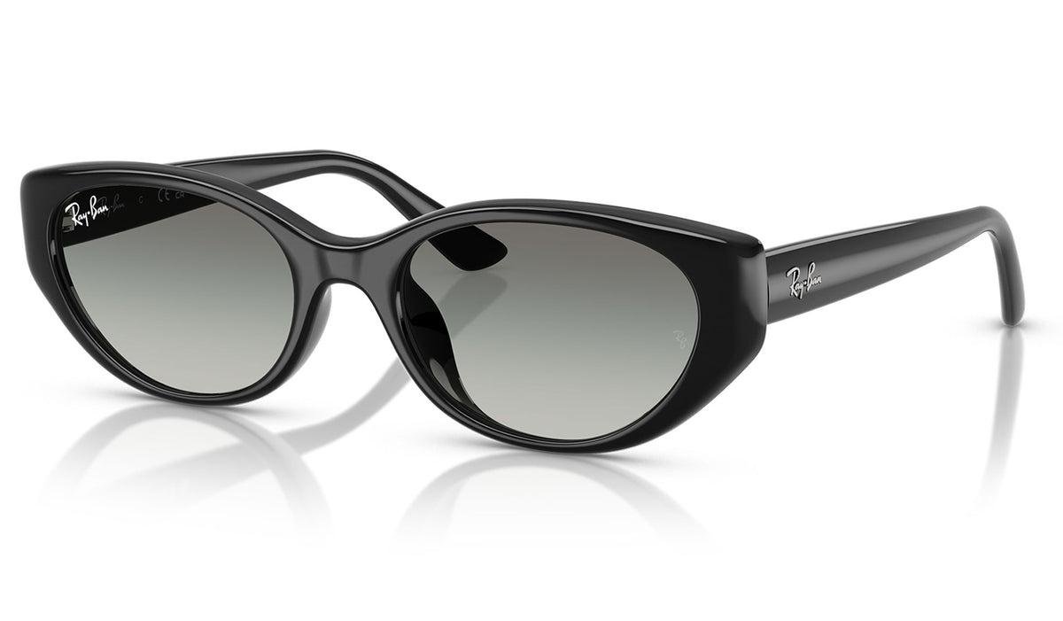 Ray-Ban RB4457D Sunglasses - Black / Grey Gradient