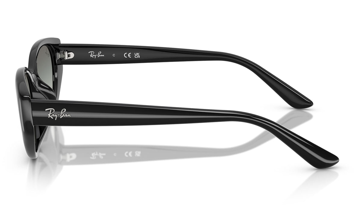 Ray-Ban RB4457D Sunglasses - Black / Grey Gradient
