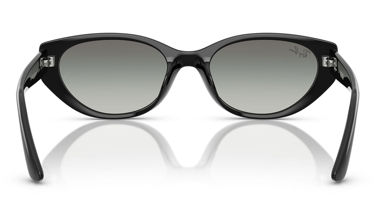 Ray-Ban RB4457D Sunglasses - Black / Grey Gradient