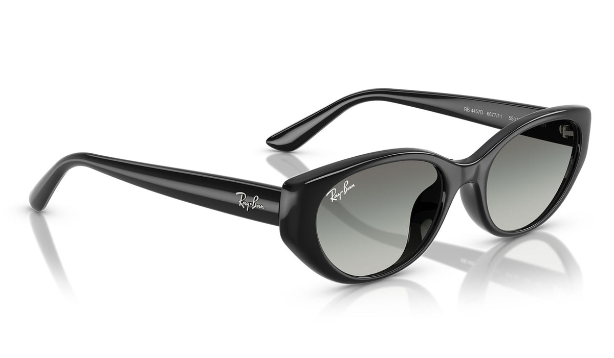 Ray-Ban RB4457D Sunglasses - Black / Grey Gradient
