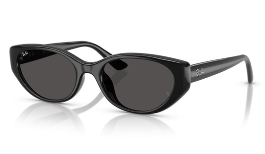 Ray-Ban RB4457D Sunglasses - Black / Dark Grey