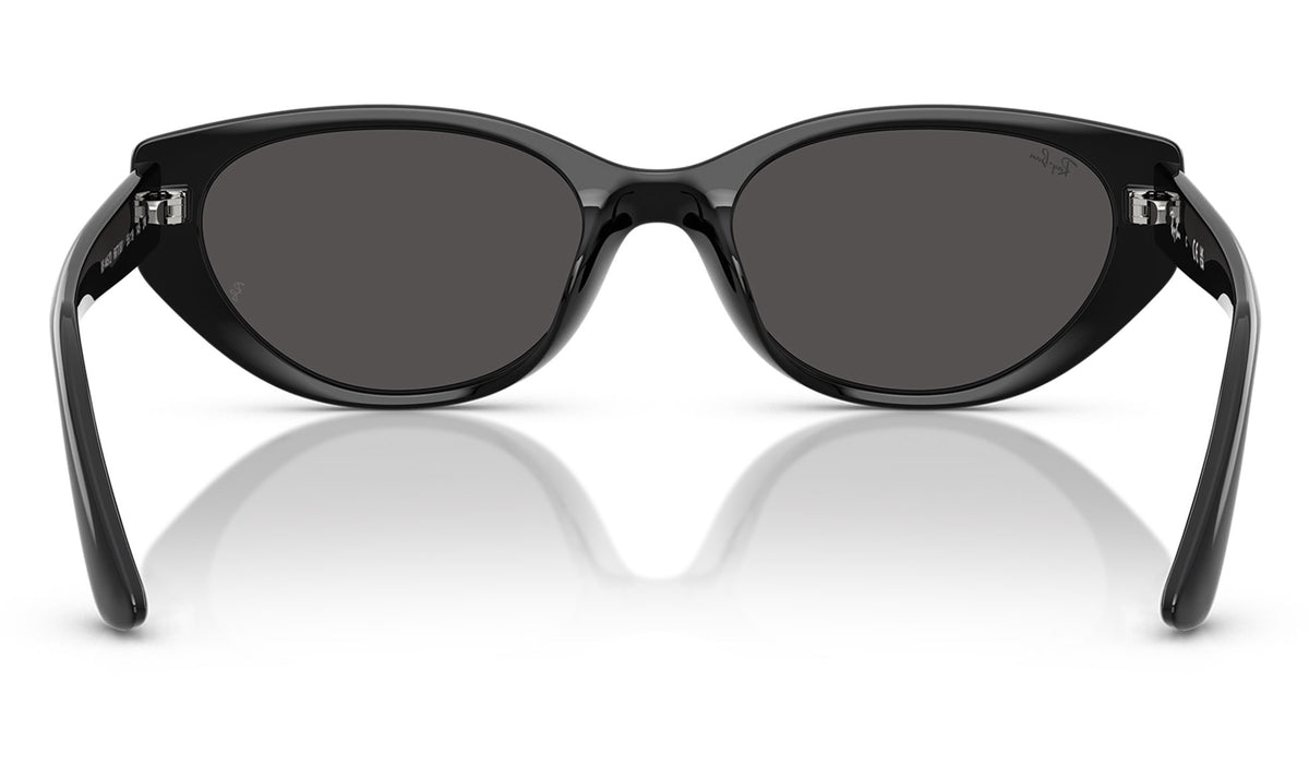 Ray-Ban RB4457D Sunglasses - Black / Dark Grey