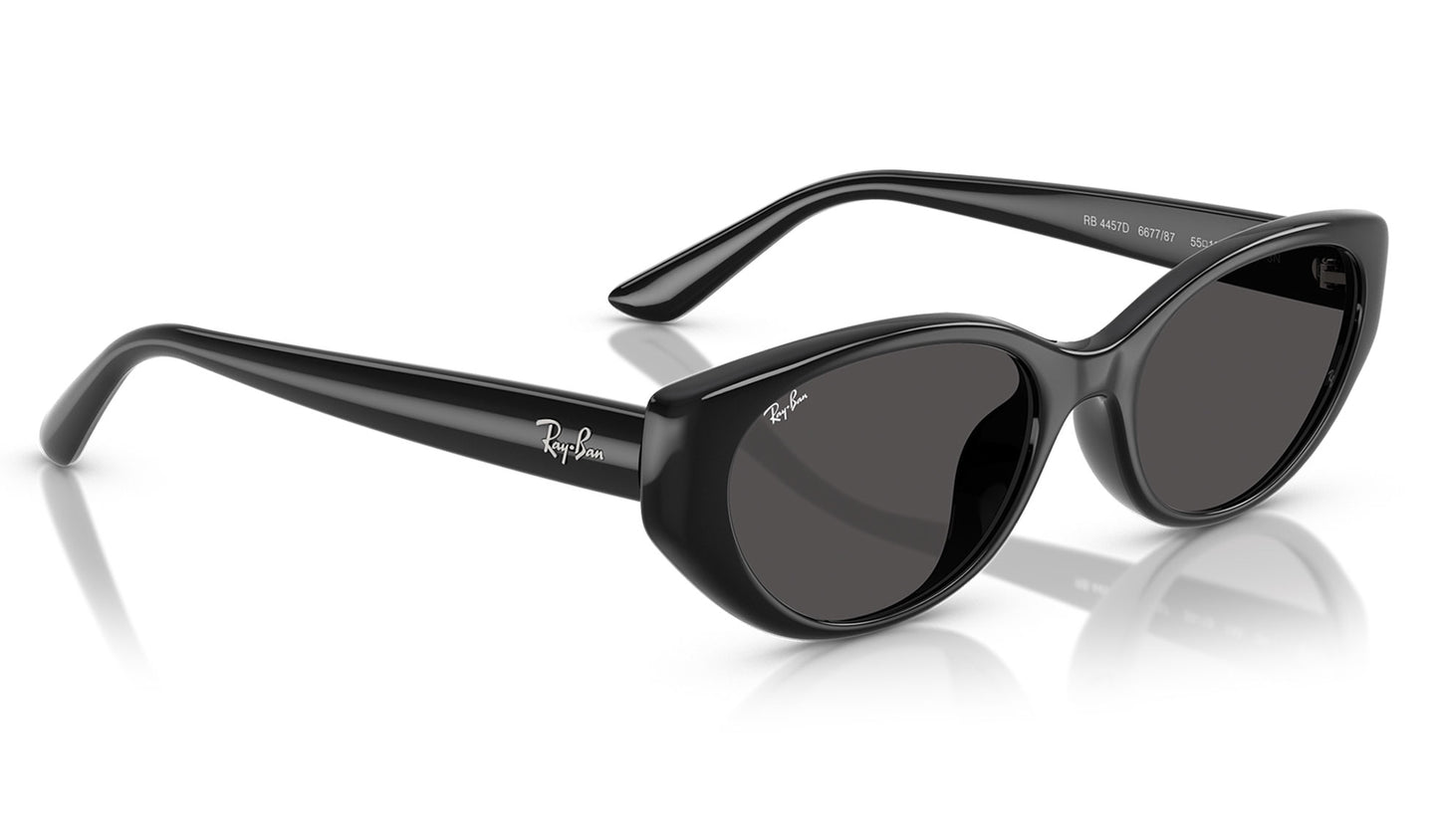 Ray-Ban RB4457D Sunglasses - Black / Dark Grey