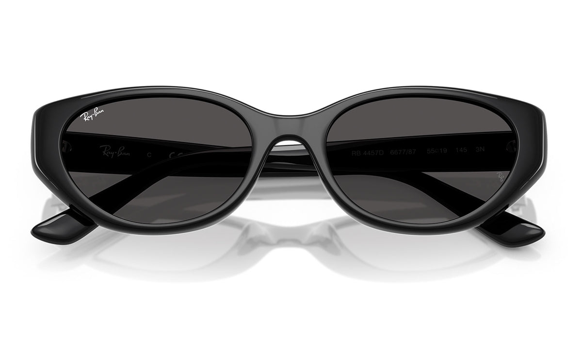 Ray-Ban RB4457D Sunglasses - Black / Dark Grey