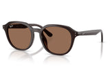 Ray-Ban RB4459D Sunglasses - Opal Brown / Dark Brown