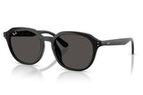 Ray-Ban RB4459D Sunglasses - Black / Dark Grey