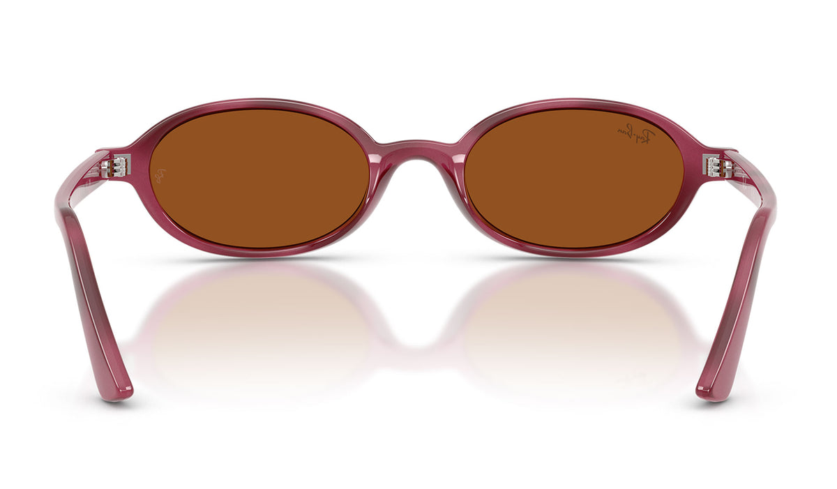Ray-Ban RB4472 Khal Sunglasses - Violet Havana / Dark Brown