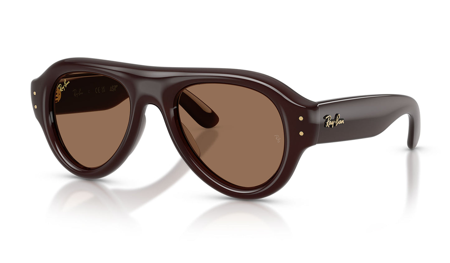 Ray-Ban RB4925 Aviator Puffer Sunglasses - Transparent Dark Brown / Dark Brown