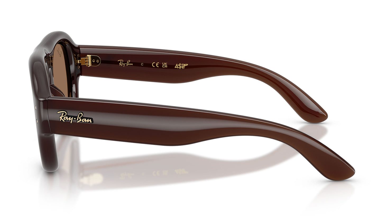 Ray-Ban RB4925 Aviator Puffer Sunglasses - Transparent Dark Brown / Dark Brown