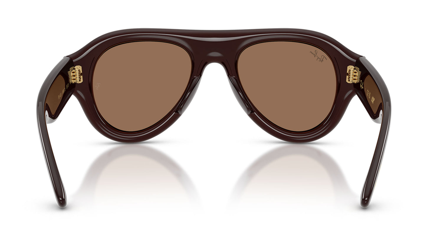 Ray-Ban RB4925 Aviator Puffer Sunglasses - Transparent Dark Brown / Dark Brown