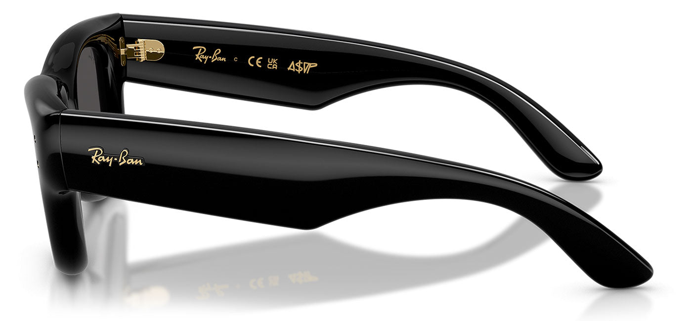 Ray-Ban RB4940 Wayfarer Puffer Sunglasses - Black / Ultra Black
