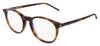 Saint Laurent SL 106 Glasses - Havana