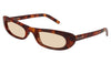 Saint Laurent SL 557 SHADE Sunglasses - Havana / Brown