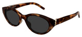 Saint Laurent SL M148 Sunglasses - Havana / Grey