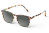 IZIPIZI #E Sunglasses - Blue Tortoise / Grey