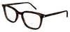 Saint Laurent SL 479 Glasses - Havana