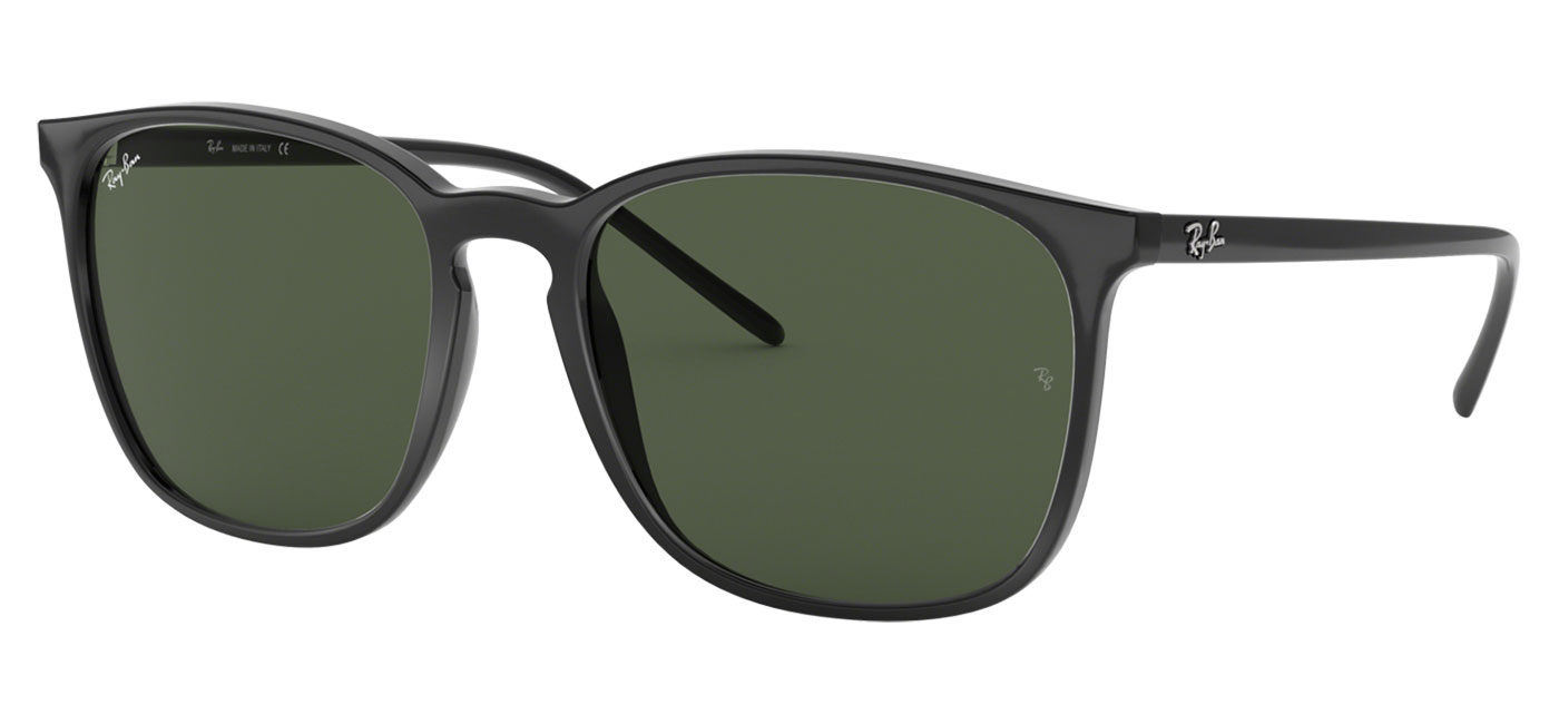 Ray Ban RB4387 Sunglasses Black Green Tortoise Black