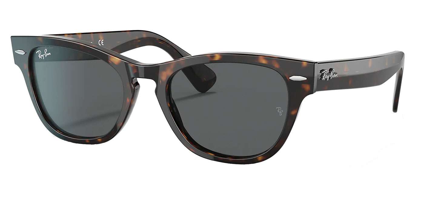Ray-Ban RB2201 Laramie Sunglasses - Havana / Grey - Tortoise+Black