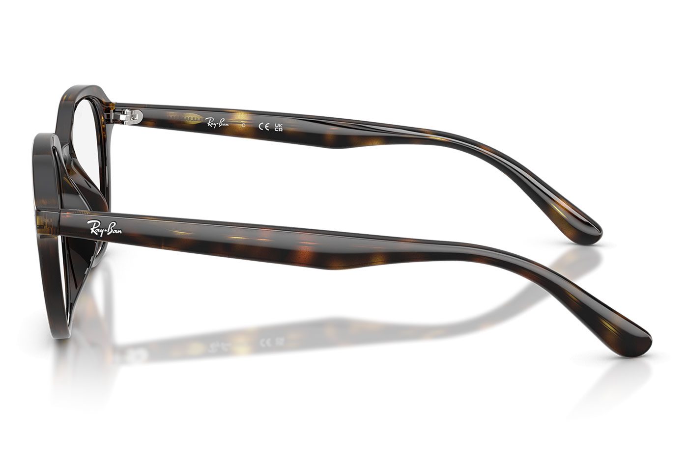 RX7259D__2012-product3