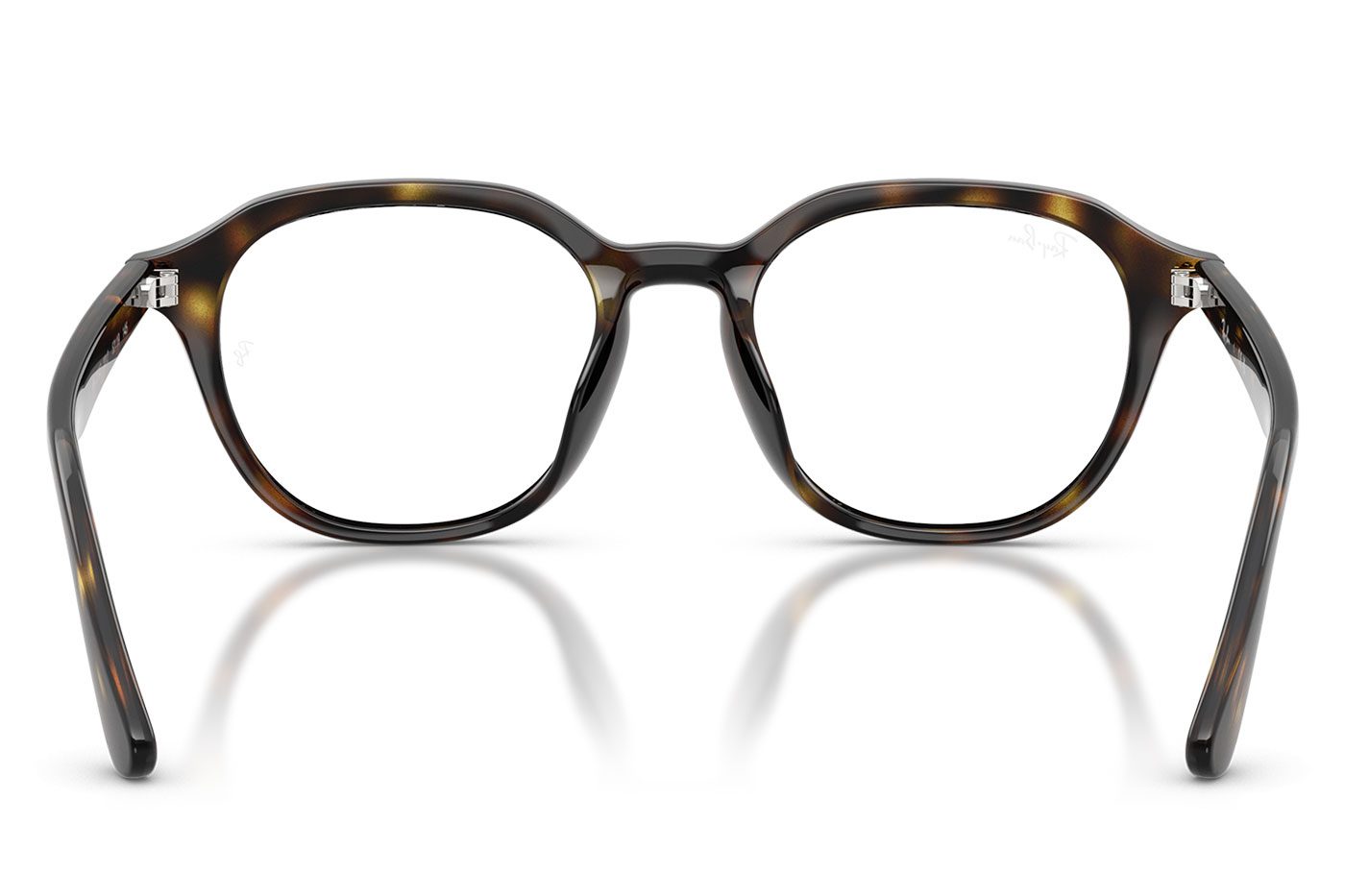 RX7259D__2012-product4