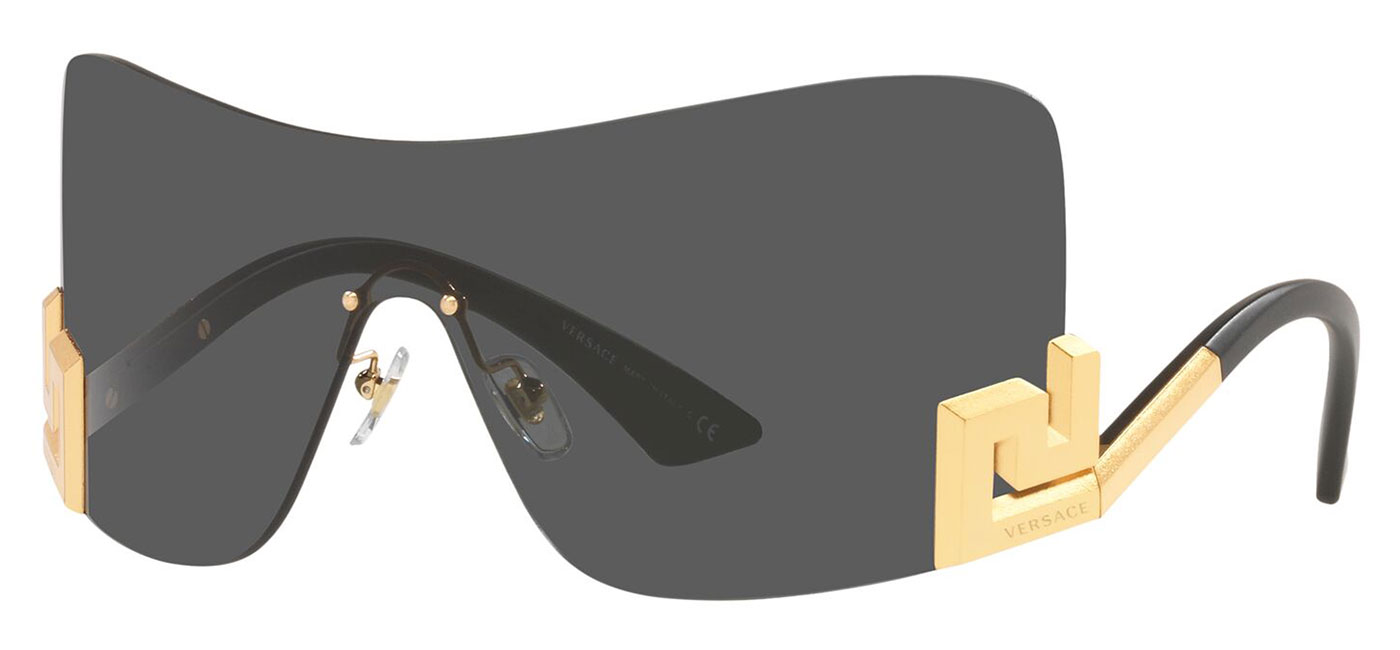 Versace VE2240 Sunglasses Tortoise+Black