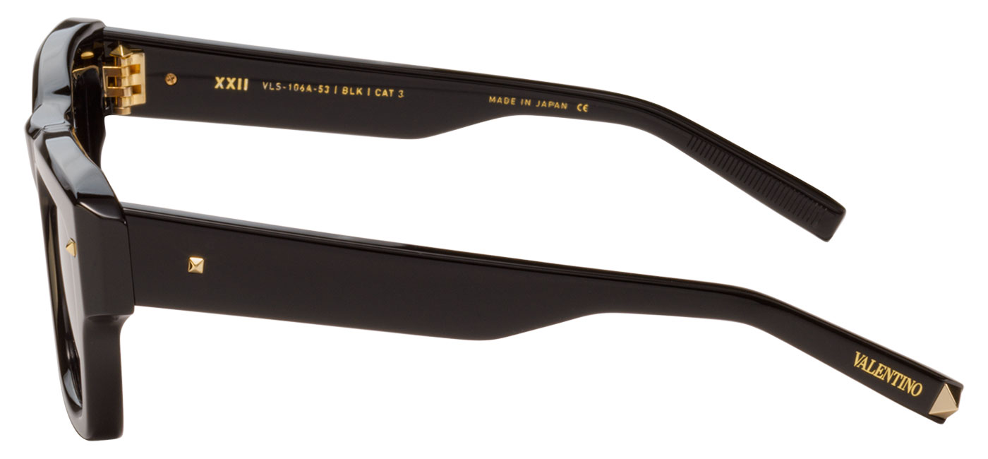 Valentino sales tortoise sunglasses
