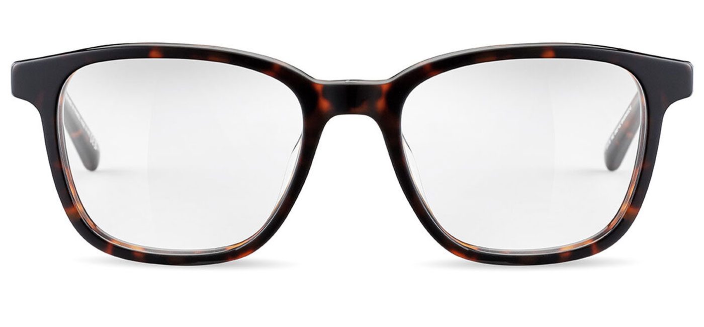 Jasp-02_Havana-Shiny-Small~Medium-02