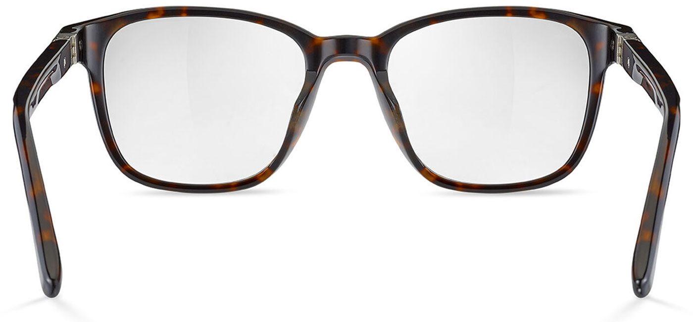 Jasp-02_Havana-Shiny-Small~Medium-04