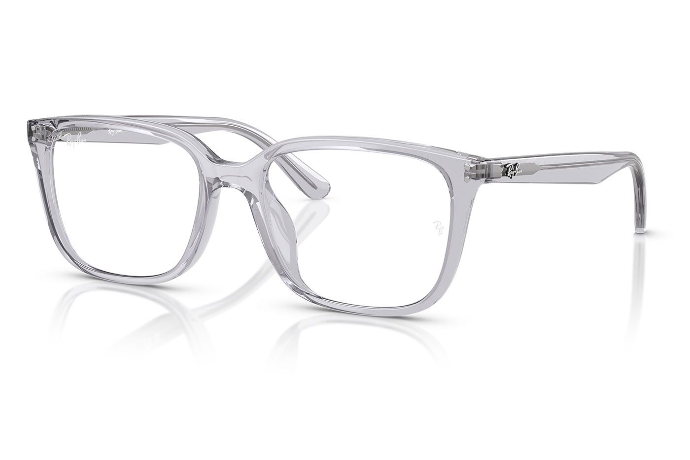 RX7248D__8411__P21__shad_product1