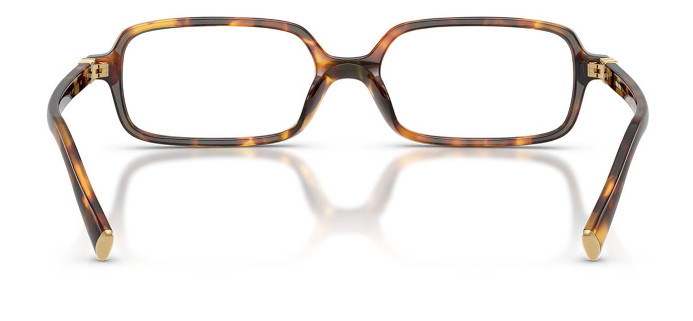 0MU_01YV__14L1O1__P21__shad__bk