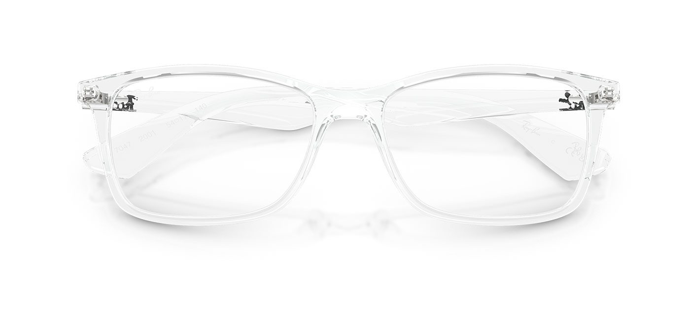 0RX7047__2001__P21__shad__cfr