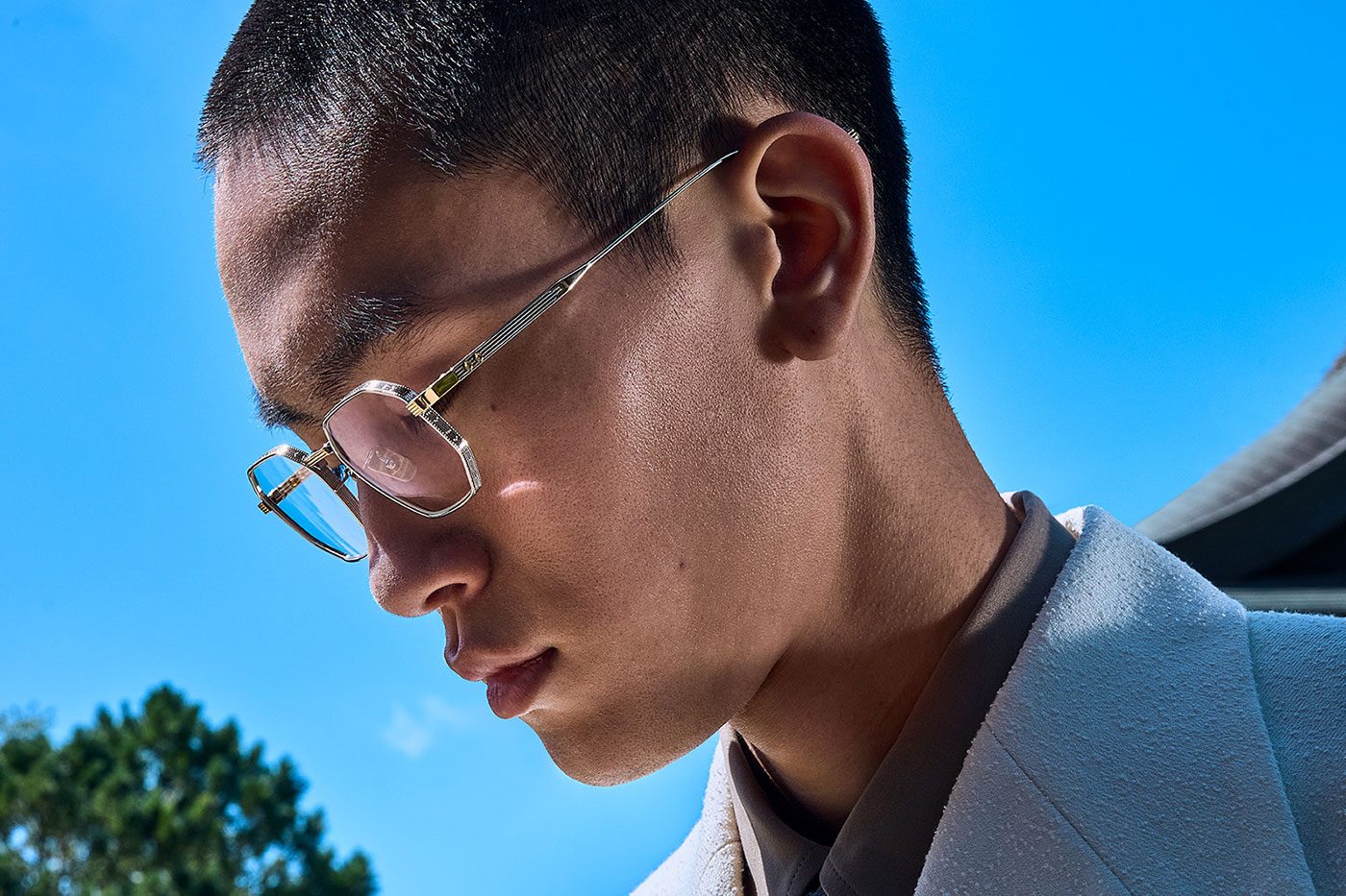 CGOT1431_SilverGold-model