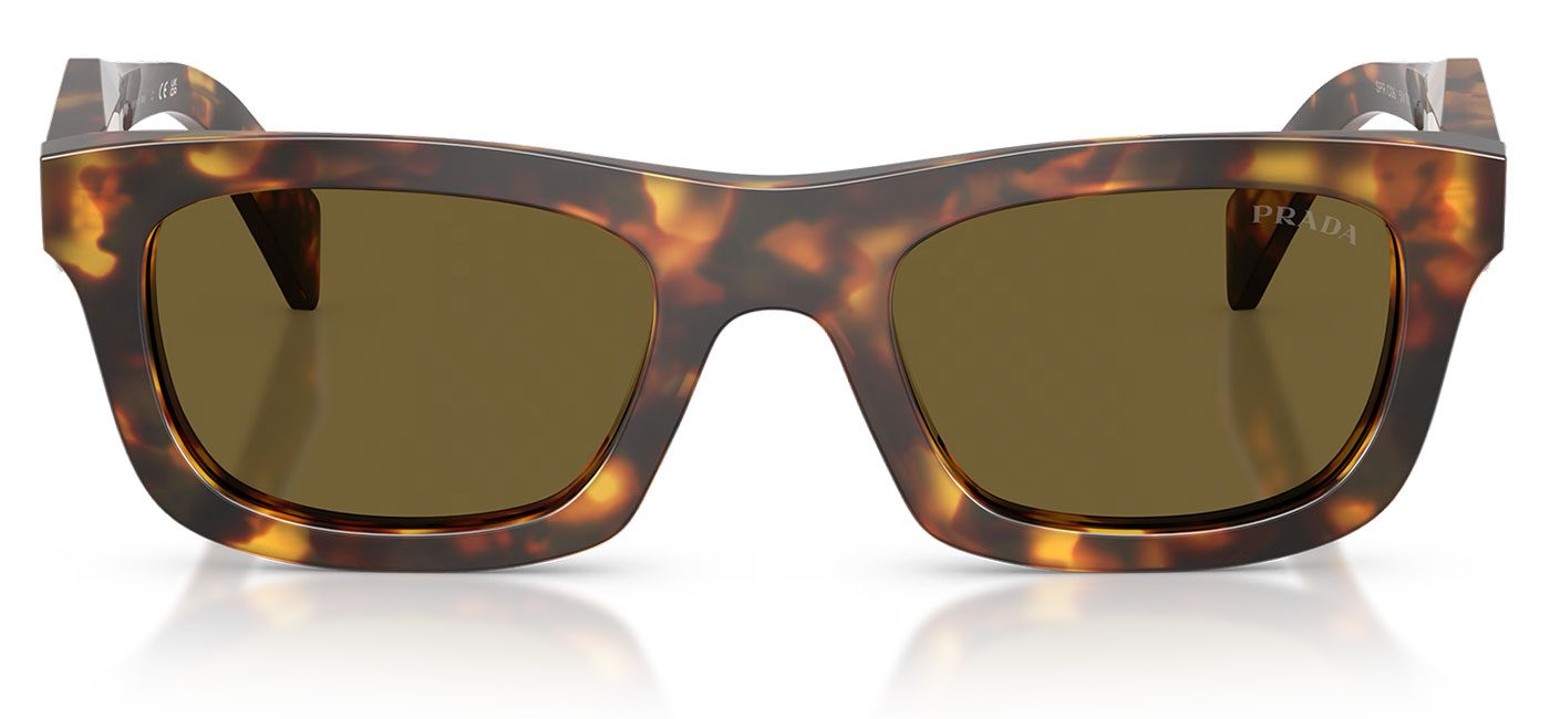 0PR_C06S__14L09Z__P21__shad__fr