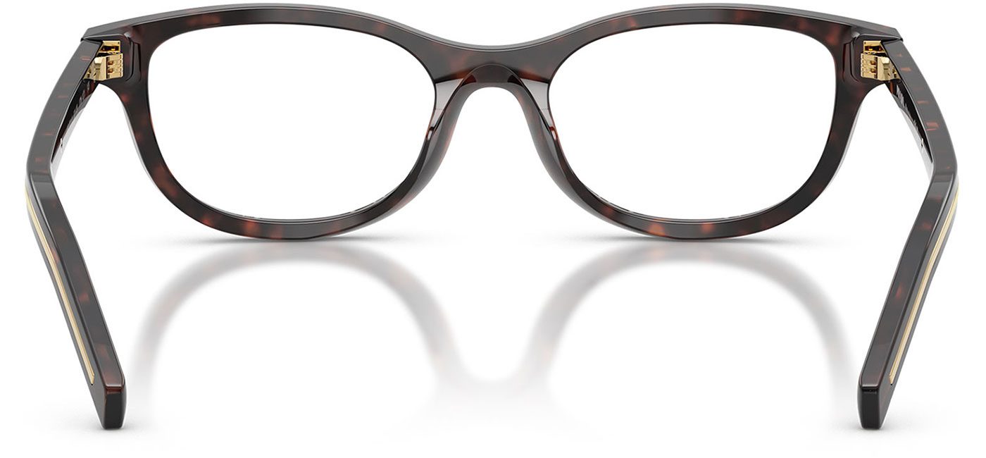 0PR_D01VU__17N1O1__P21__shad__bk