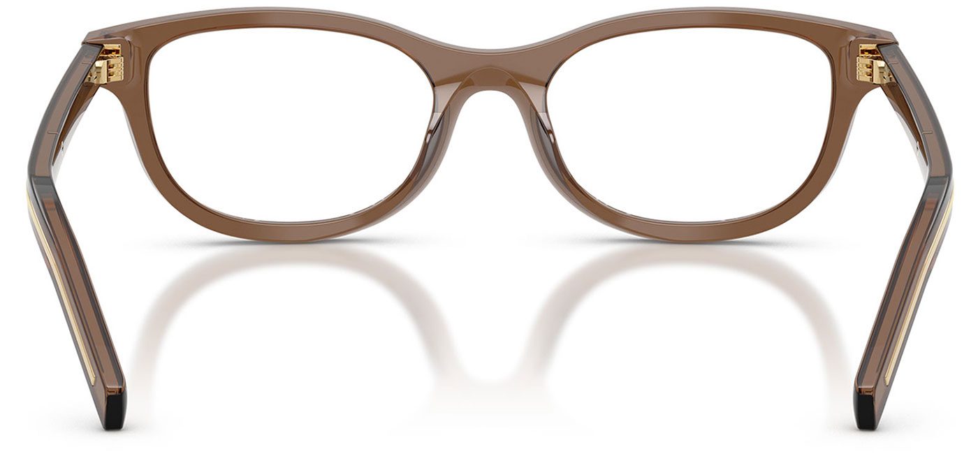 0PR_D01VU__28I1O1__P21__shad__bk